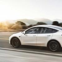 Tesla model y per eventi