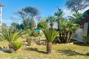 Appartamento Castel Volturno [Cod. rif 3324304ARG]