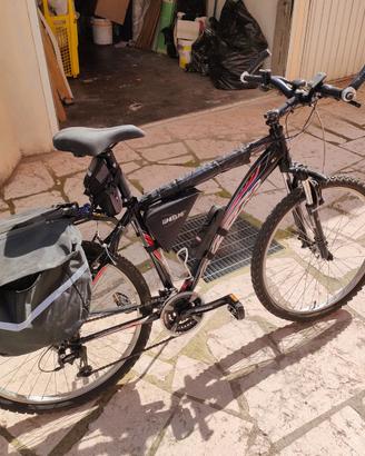 Bici uomo montain bike