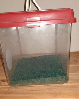 Acquario x pesci e tartarughe