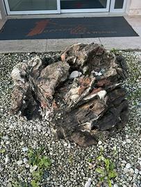 Pietra Ornamentale… origine Mongolia