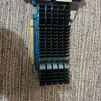 Scheda video 730 GT ASUS GDDR5