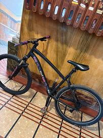 Mtb ROCKRIDER modificata