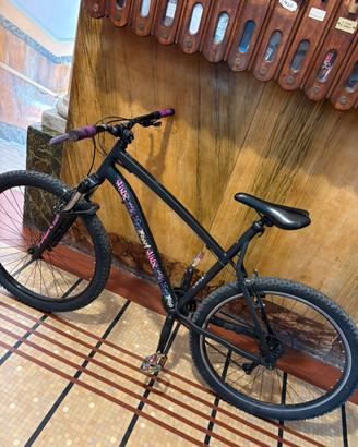 Mtb ROCKRIDER modificata