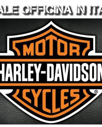 Manuale Officina Harley Davidson 1940 2025
