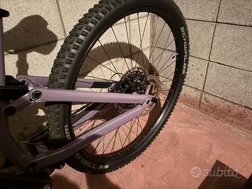 Canyon neuron 5 2025