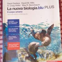 la nuova biologia blu plus corpo umano 