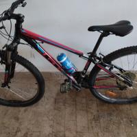 2 biciclette gt  xs