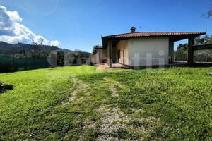 Casa Indipendente Scarlino [024/F018VRG]