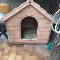 casetta per cane