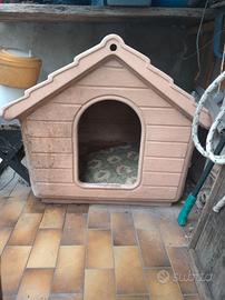 casetta per cane