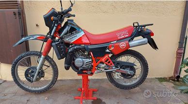 arizona hawk 125