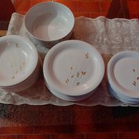 servizio piatti tognana 