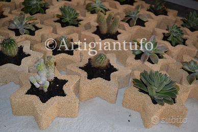 Stella in pietra porta oggetti pianta