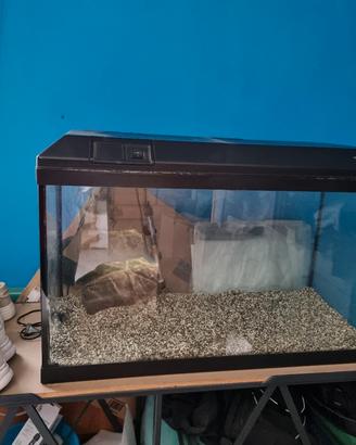 acquario 