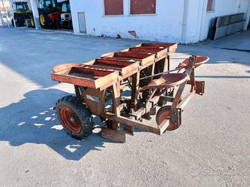 pianta aglio a 3 file marca Soldi