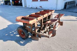 pianta aglio a 3 file marca Soldi