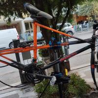 Bianchi ragno thomisus