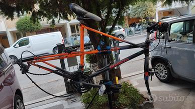 Bianchi ragno thomisus