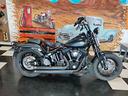 harley-davidson-softail-cross-bones