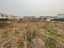 rif-753-area-edificabile-pieve-fissiraga