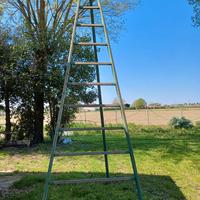 Vecchia scala in legno per potatura
