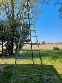 Vecchia scala in legno per potatura