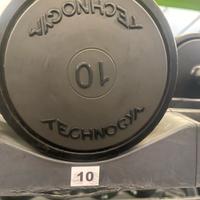 Manubri Technogym coppia da 10 kg