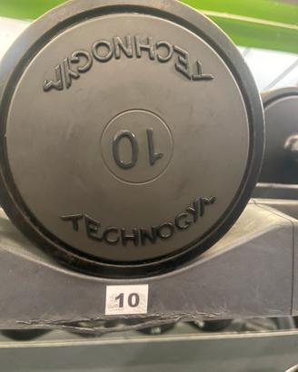 Manubri Technogym coppia da 10 kg