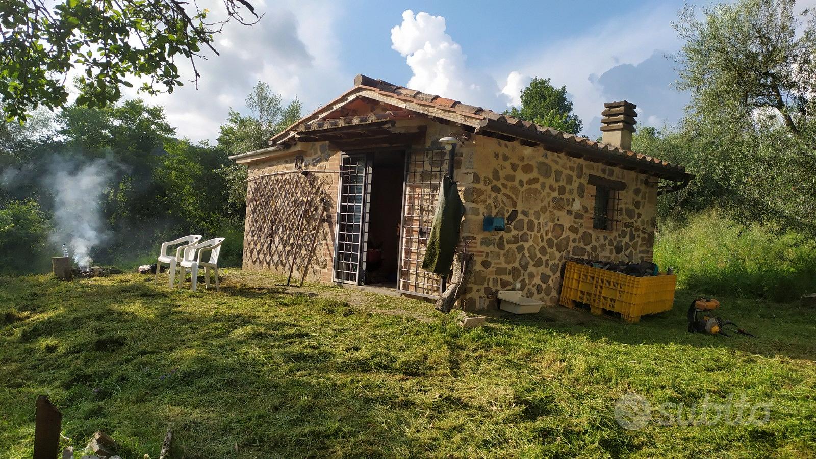 Oliveto con annesso - Vista 2