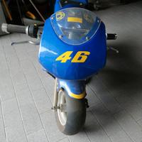 mini moto vale 46