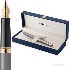 Waterman Penna stilografica Hémisphère