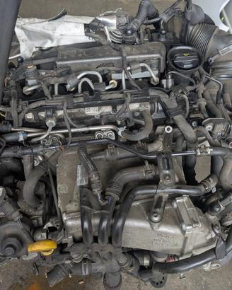 MOTORE CLH VOLKSWAGEN GOLF 1.6TDI