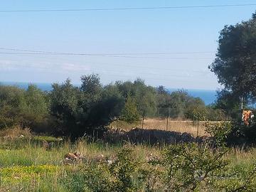 Rif.D0391| terreno agricolo priolo gargallo