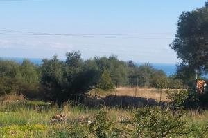 Rif.D0391| terreno agricolo priolo gargallo