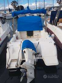 Motore etec evinrude 90 cv