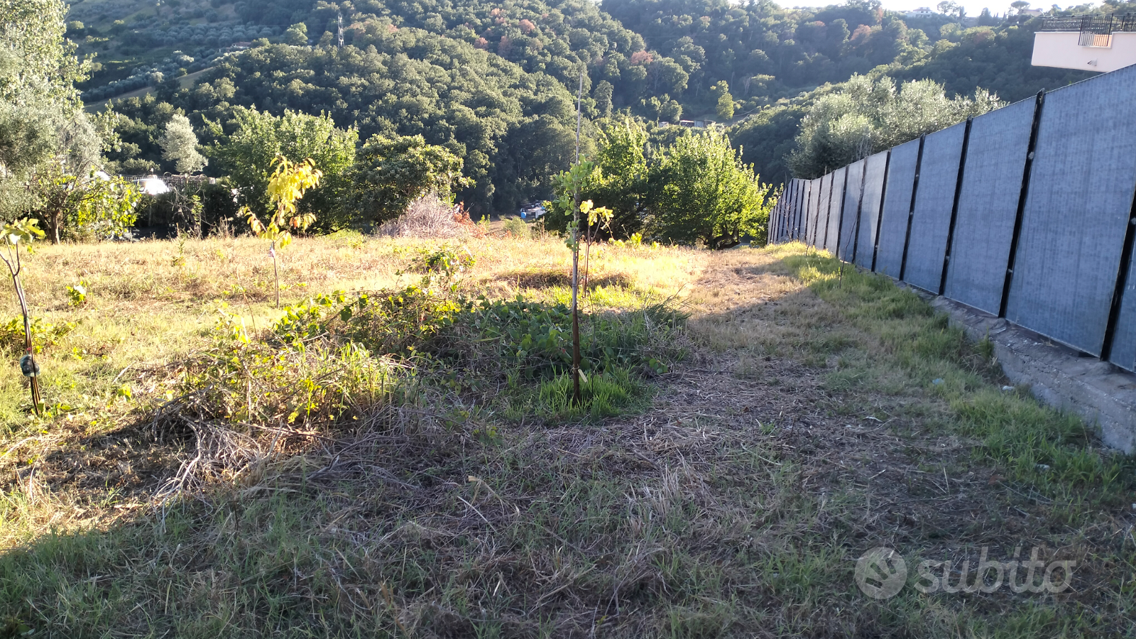Terreno agricolo - Vista 2