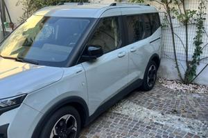 Ford tourneo