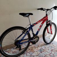 bicicletta
