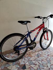 bicicletta