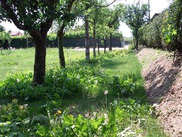 Terreno Residenziale Schiavon