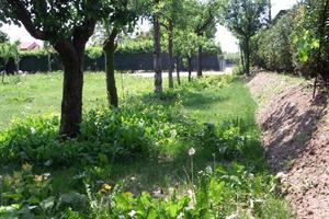 Terreno Residenziale Schiavon