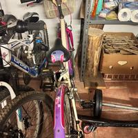 Bicicletta ragazza decathlon