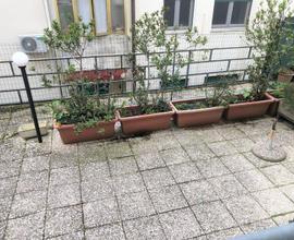 Bilocale pronto con corte privata, Vallemiano