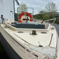 Gobbi 4 m motore e carrello super prezzo