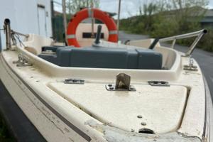 Gobbi 4 m motore e carrello super prezzo