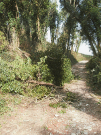 Terreno agricolo incolto a Casciana Terme di Lari
