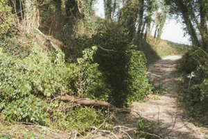 Terreno agricolo incolto a Casciana Terme di Lari