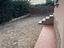Immagine 25