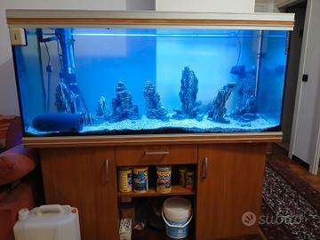 Acquario 450 litri + Filtro osmotico